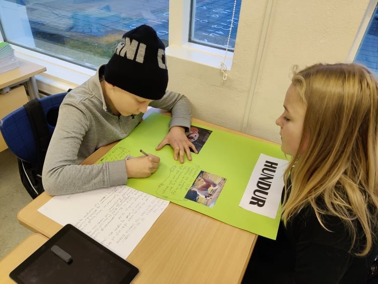 Áfram heldur vinnan með húsdýrin