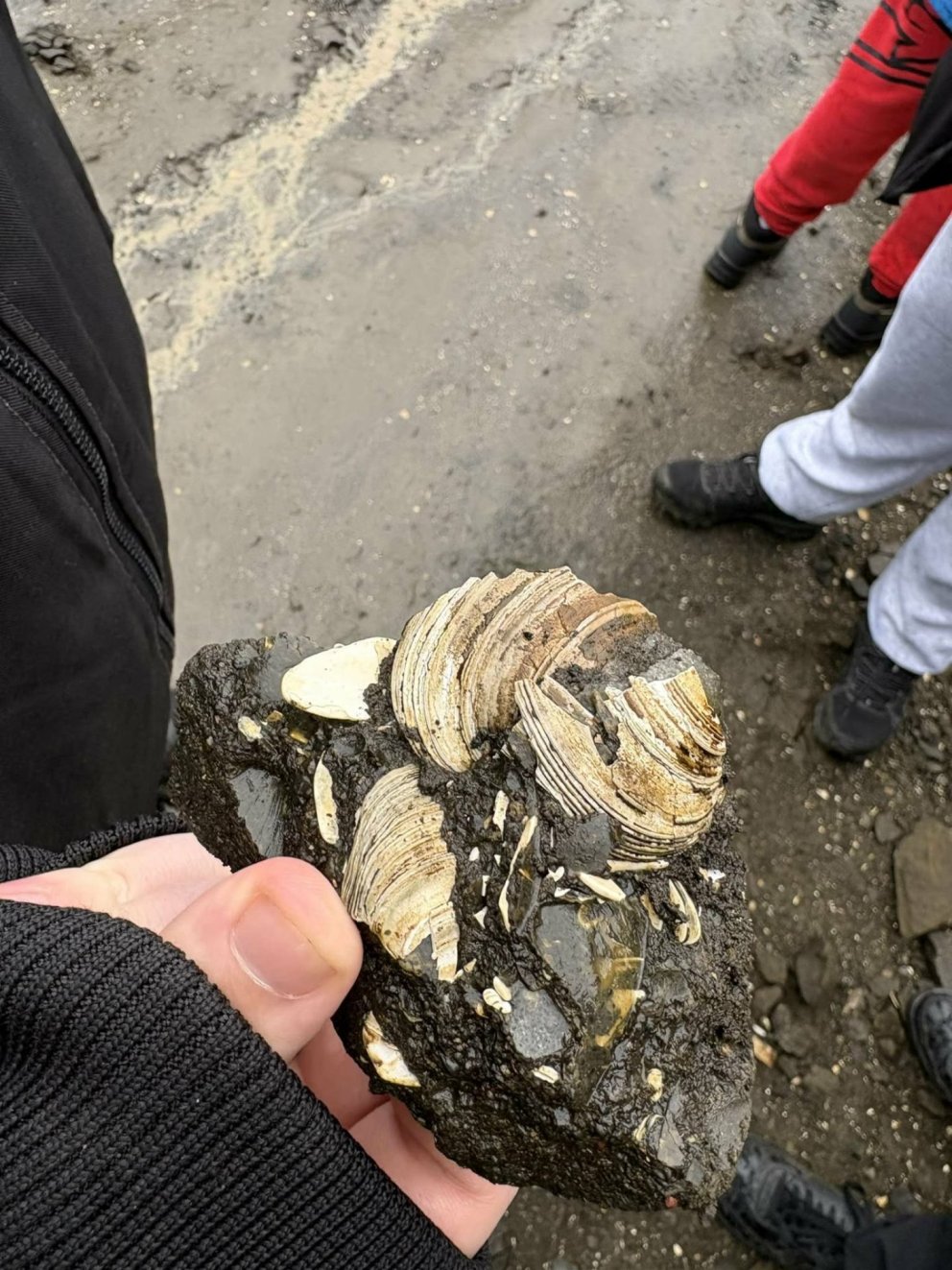 Skemmtileg og fræðandi ferð í tilefni dags íslenskrar náttúru