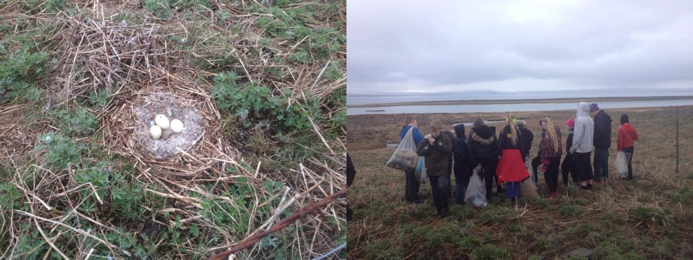 Náttuvernd og skoðun