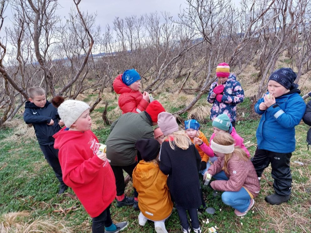 Ferð í kirkjuskóginn