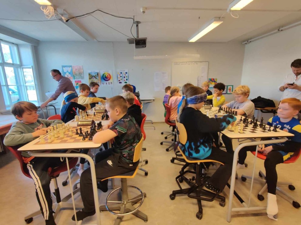 Okkar fulltrúar á svæðismóti í skák