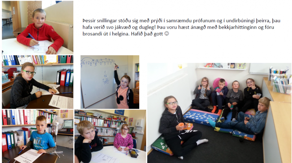 Þessi stóðu sig vel í prófunum!