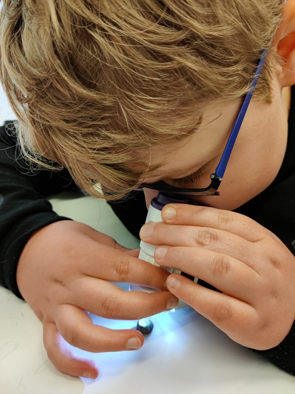 Náttúrufræði hjá 5.bekk