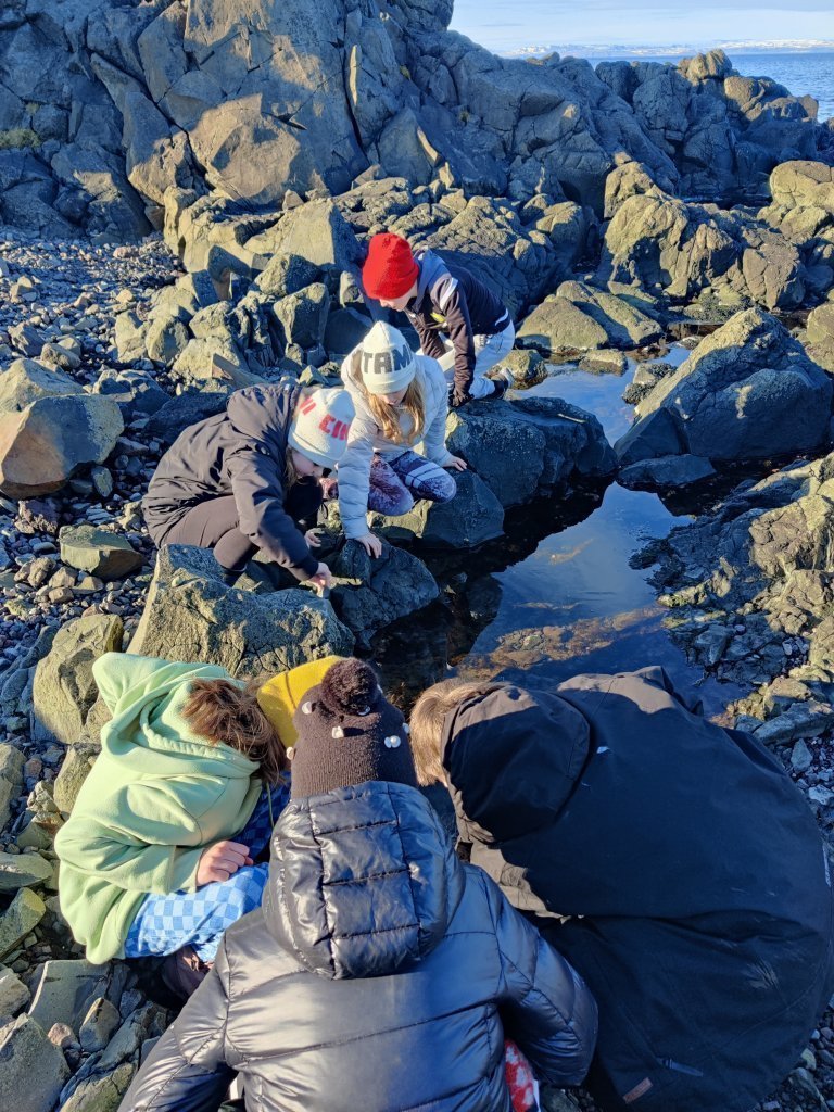 Auglýsum eftir stuðningsfulltrúa