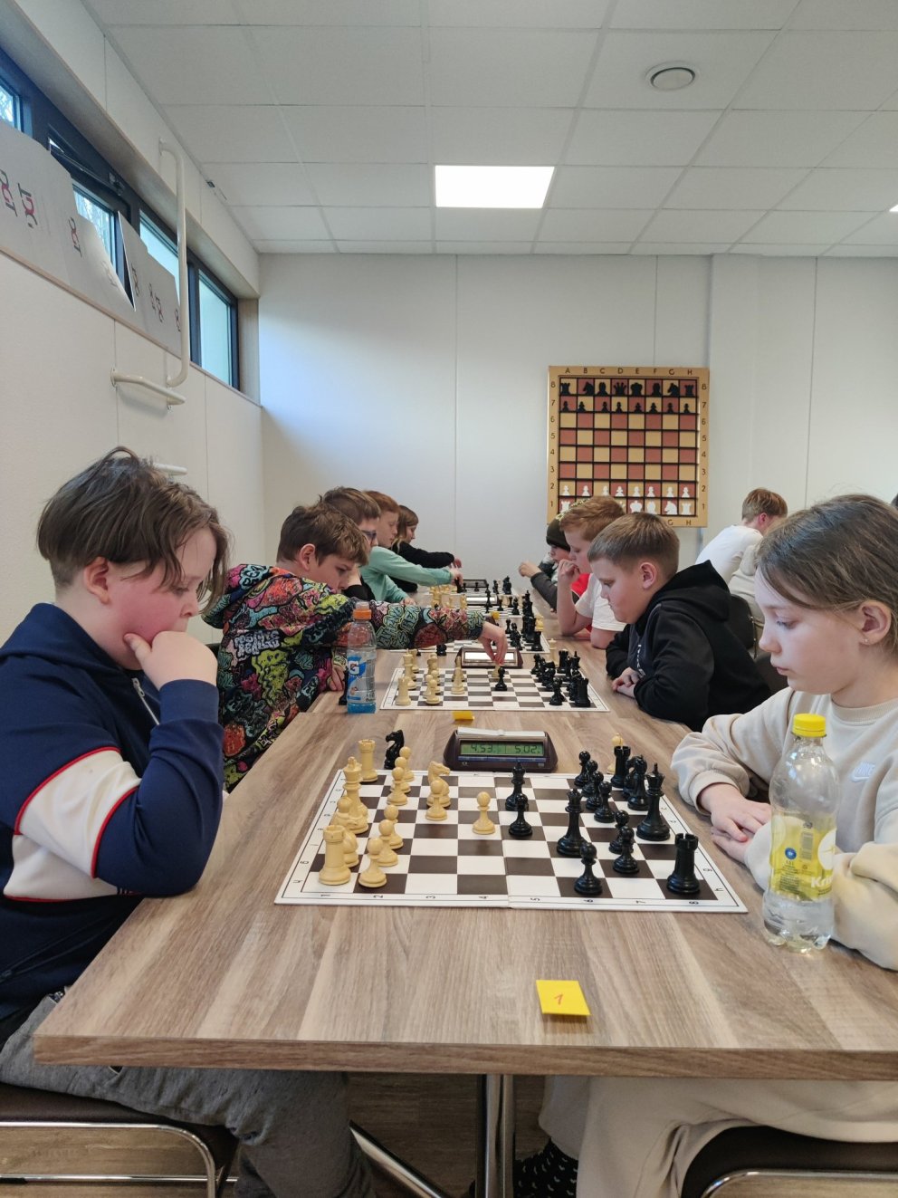 Svæðismót í skólaskák