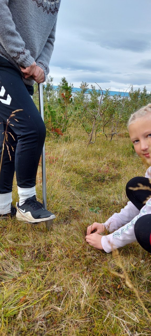 Dagur íslenskrar náttúru 16.9.