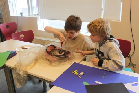 Skemmtileg samsetning