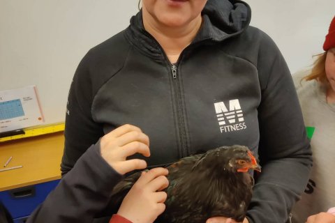 Hildur og bekkjahænan Lilla