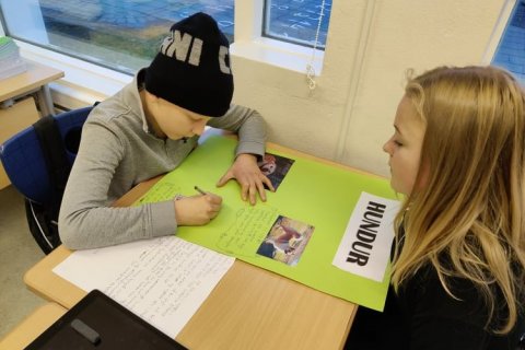 Áfram heldur vinnan með húsdýrin