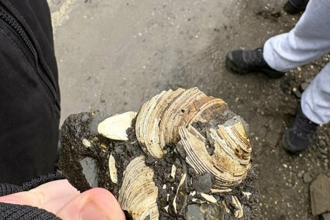 Skemmtileg og fræðandi ferð í tilefni dags íslenskrar náttúru