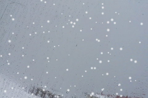 Föstudagur í faðmi Kára