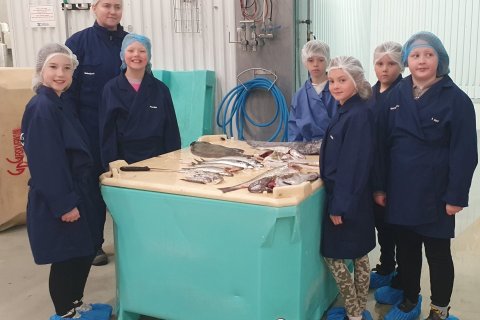 Dagar atvinnulífsins