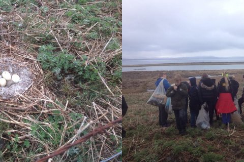 Náttuvernd og skoðun