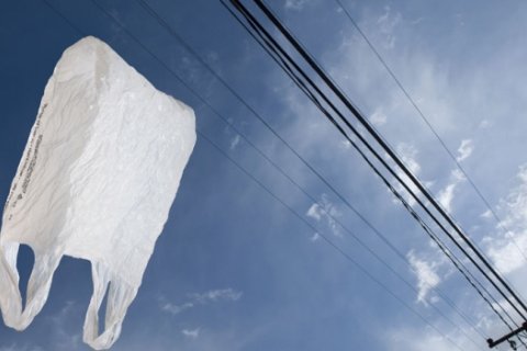 Draumurinn um plastpokalausa viku í Langanesbyggð