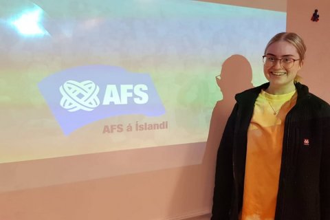 Kynning á AFS