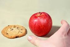 Samlokusala á föstudaginn