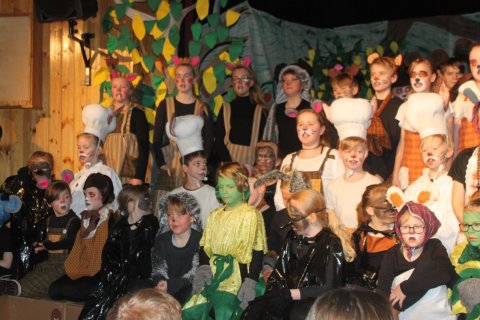 Dýrin í Hálsaskógi