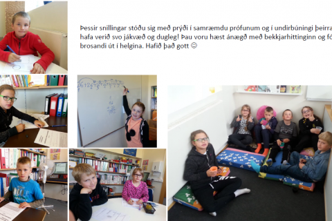 Þessi stóðu sig vel í prófunum!