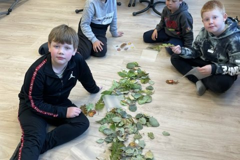 Sköpun úr laufblöðum á degi íslenskrar náttúru