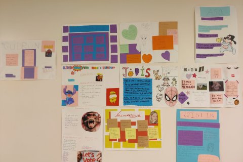 Framboðs veggsjöldin