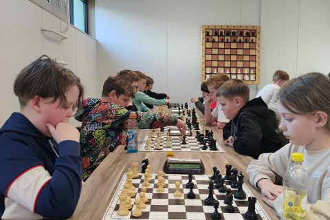 Svæðismót í skólaskák