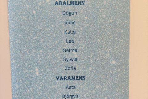 Stjórn nemendafélagsins 2025-2026