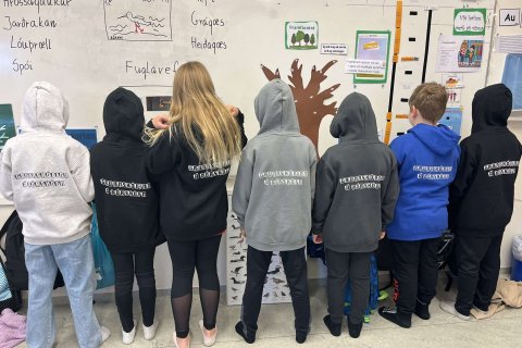 Skólapeysur frá nemendafélaginu!